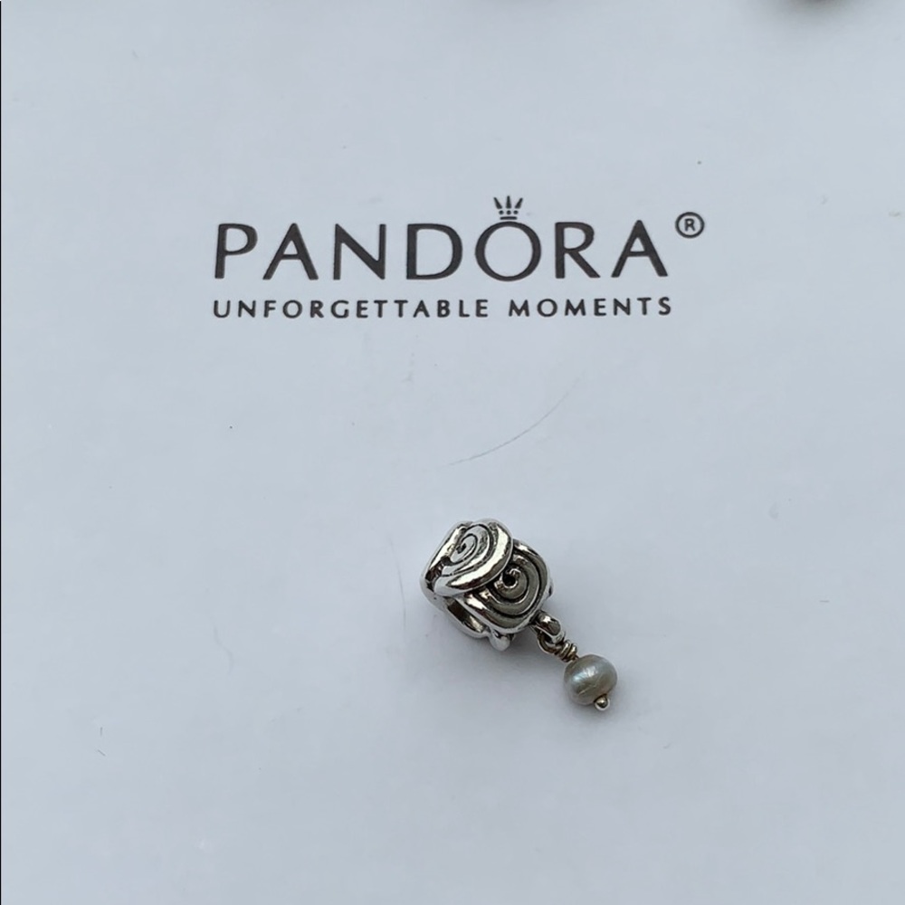 Authentic Pandora Charm Retired